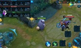 王者教官新英雄爆料视频,神秘教官降临，技能解析与背景故事揭秘